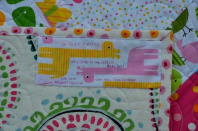 Tumbler Baby Quilts (9)